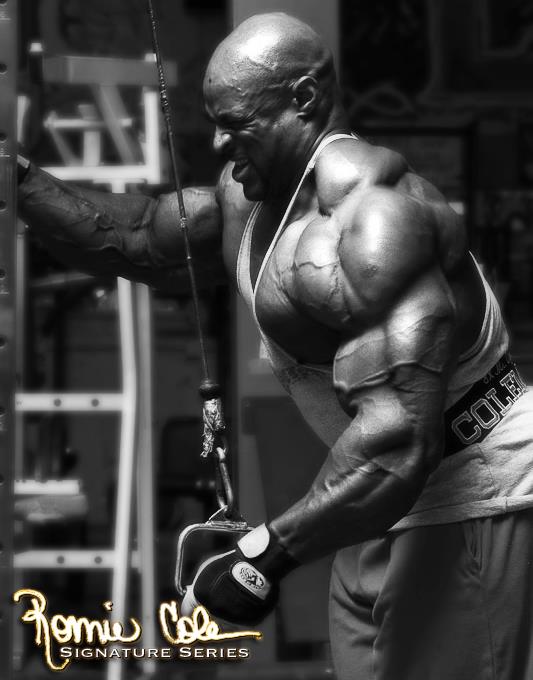 triceps_trenirovki