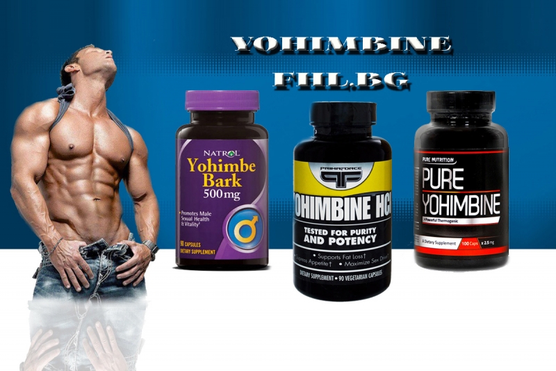 Полезна информация - Каква е разликата между Yohimbe Bark и Yohimbine hcl
