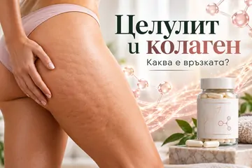 Каква е връзката между целулит и колаген
